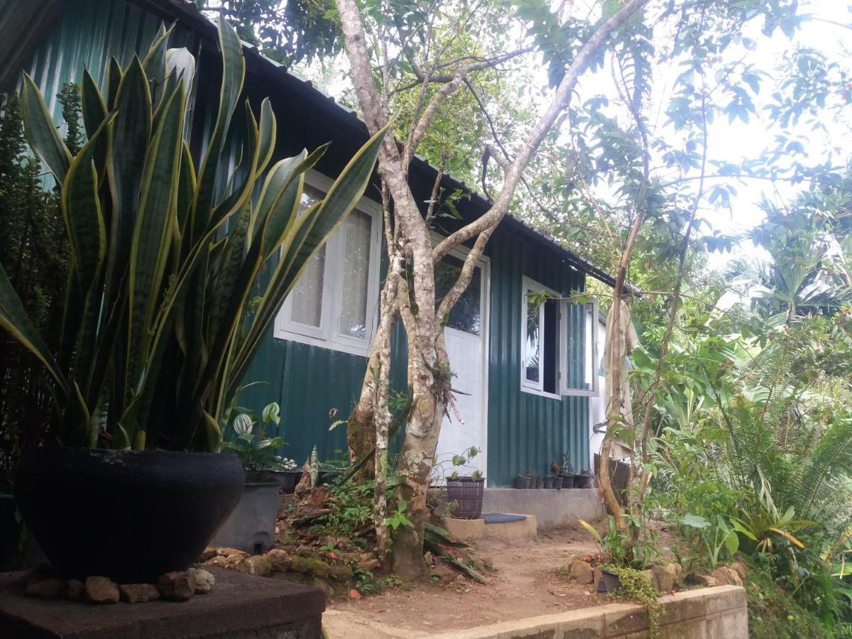 Ella Green Stay Bagian luar foto